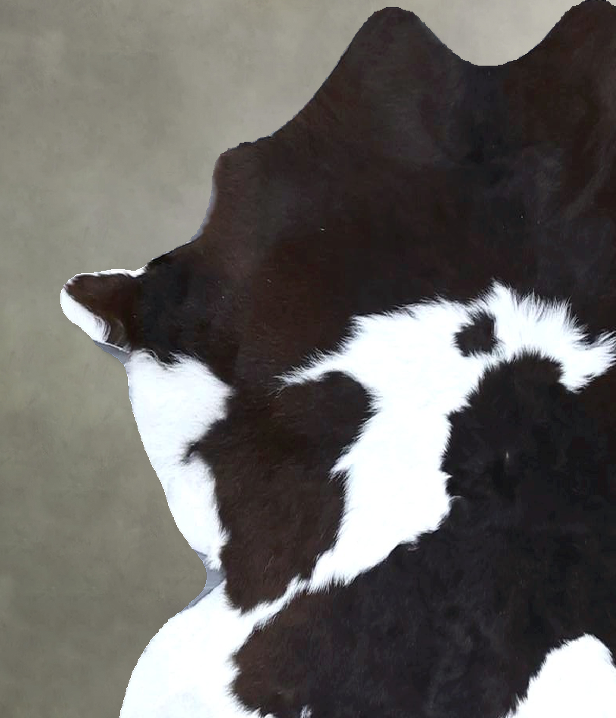 Calfhide Approx 2'x3' #B22154 by Hudson Hides