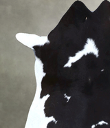 Calfhide Approx 2'x3' #B22155 by Hudson Hides