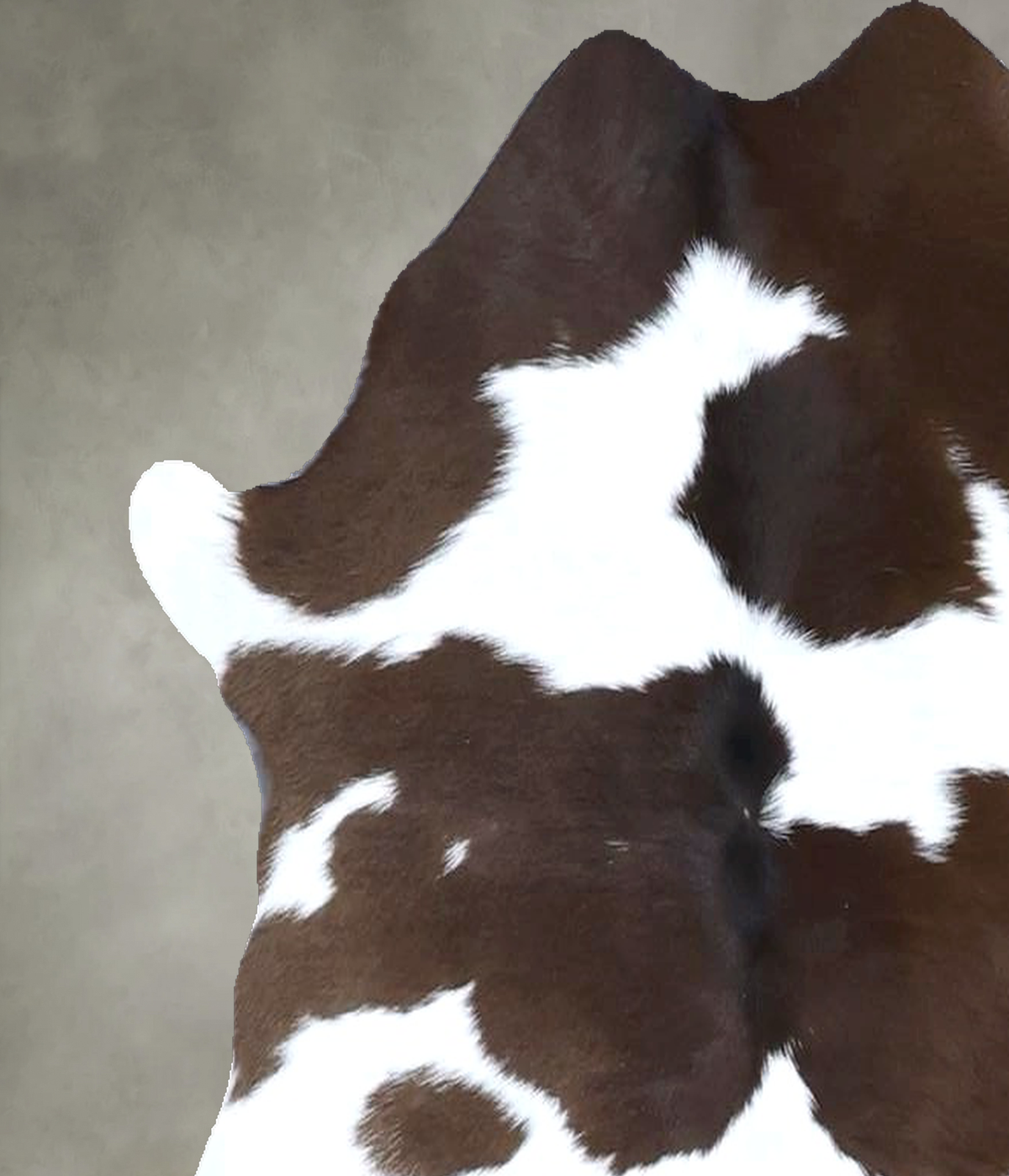 Calfhide Approx 2'x3' #B22158 by Hudson Hides