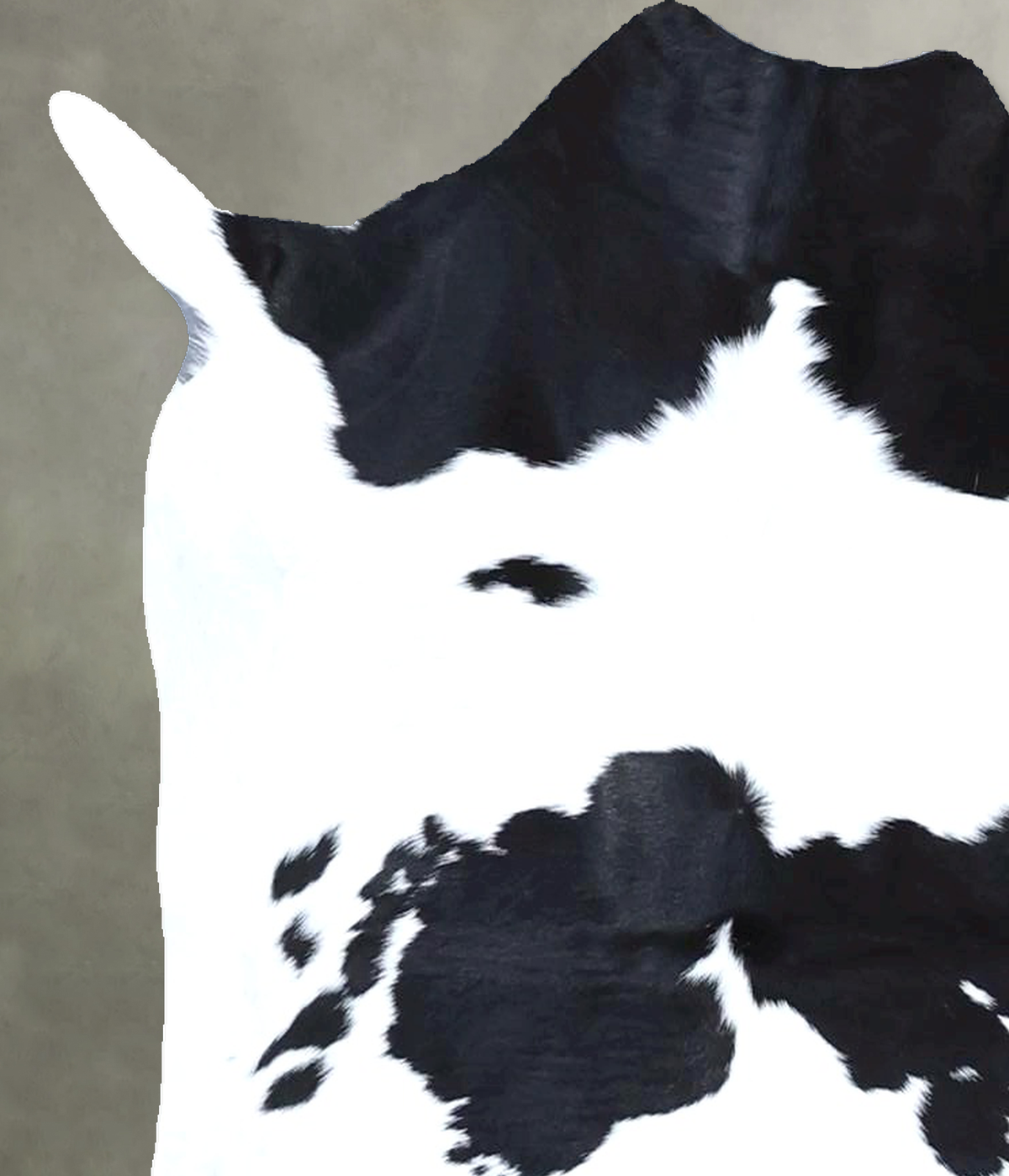 Calfhide Approx 2'x3' #B22159 by Hudson Hides