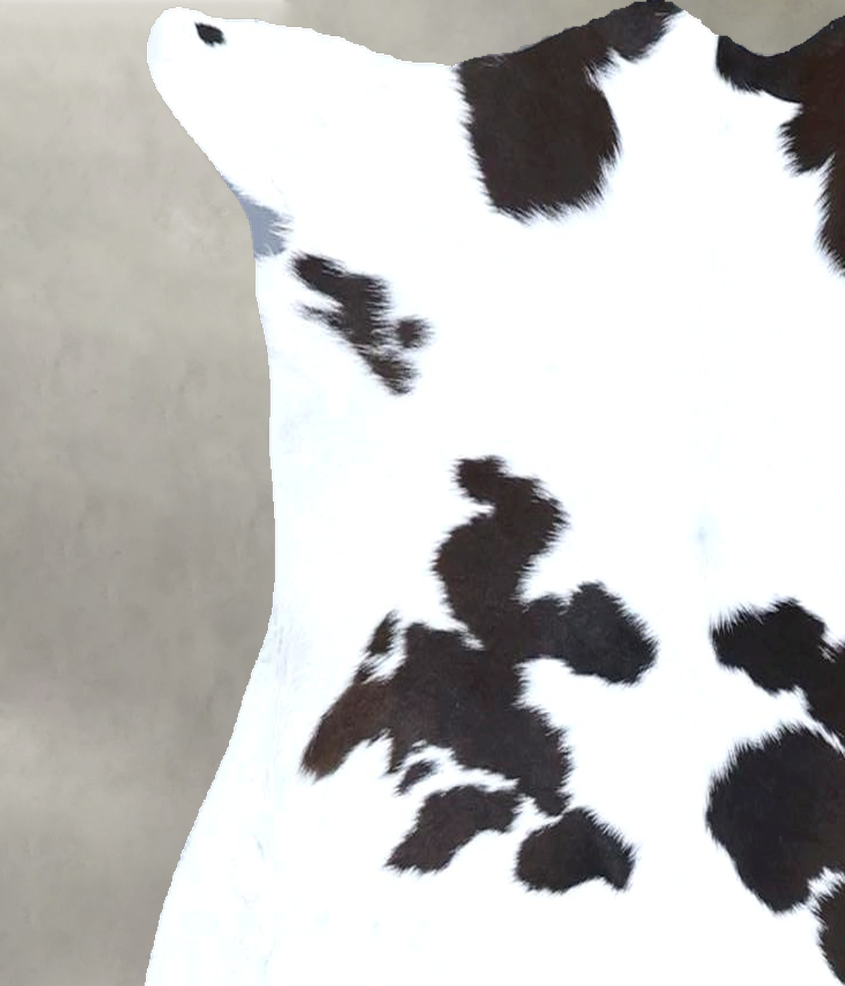 Calfhide Approx 2'x3' #B22164 by Hudson Hides