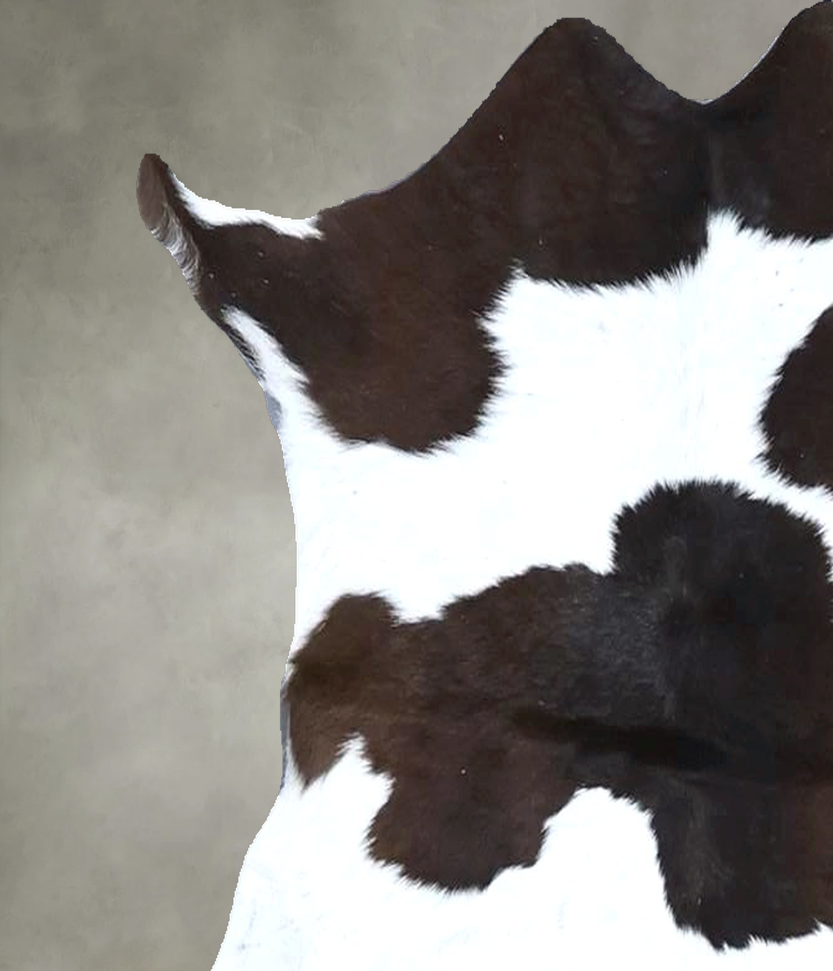 Calfhide Approx 2'x3' #B22170 by Hudson Hides