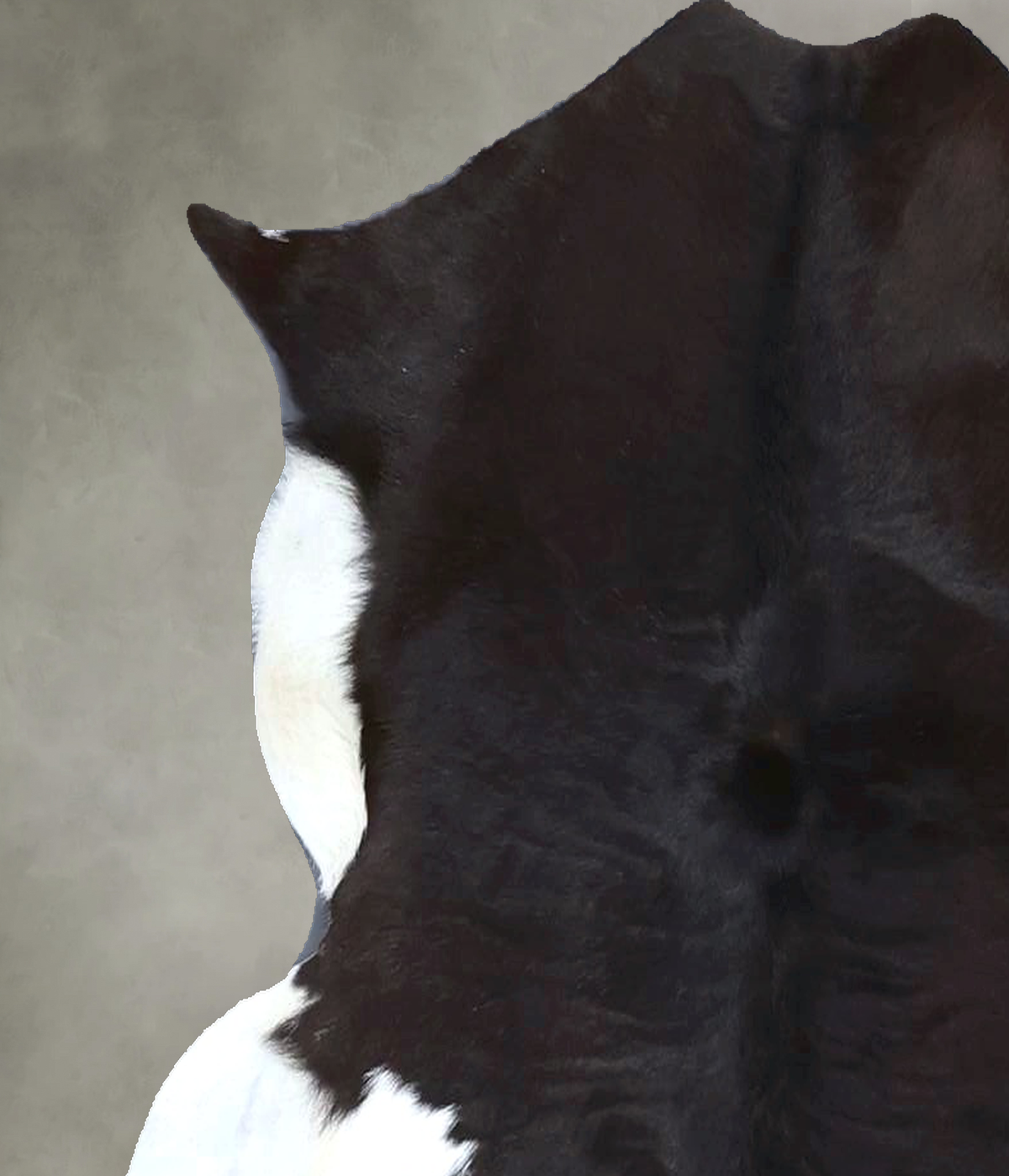 Calfhide Approx 2'x3' #B22172 by Hudson Hides