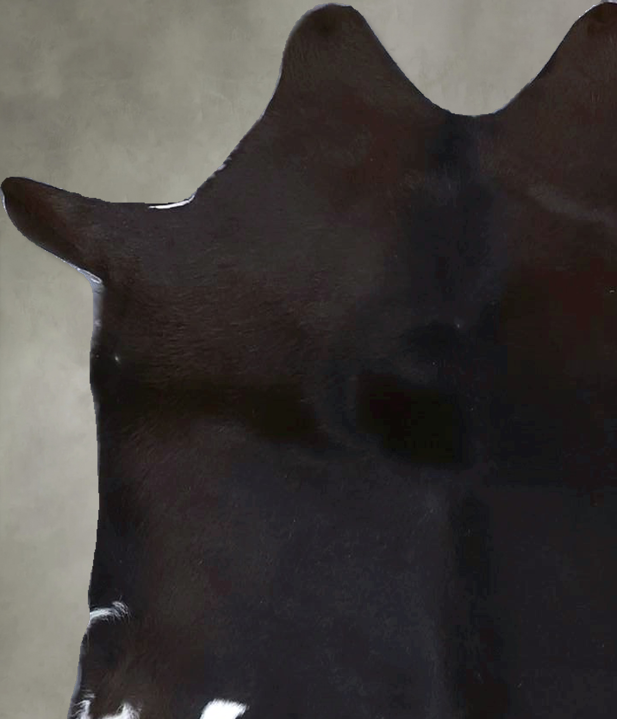 Calfhide Approx 2'x3' #B22174 by Hudson Hides