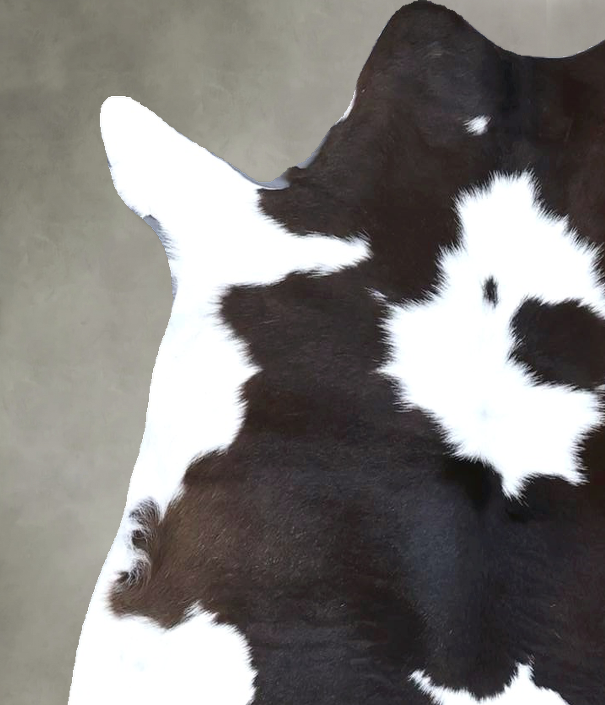 Calfhide Approx 2'x3' #B22176 by Hudson Hides
