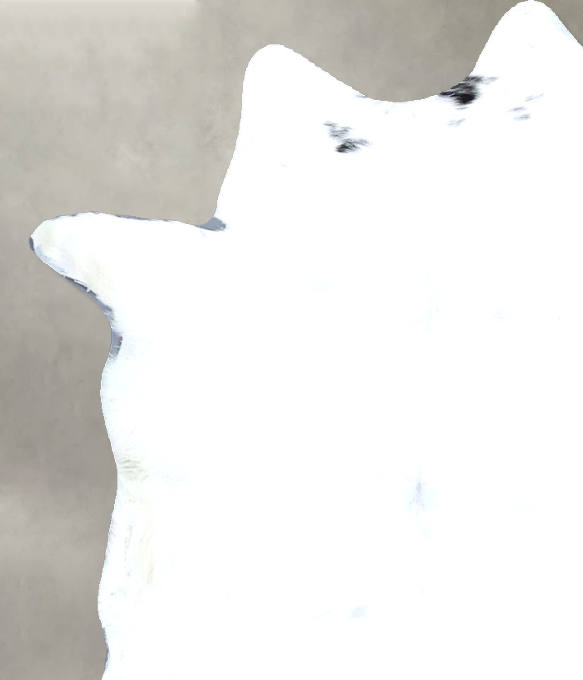 Calfhide Approx 2'x3' #B22178 by Hudson Hides