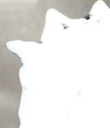 Calfhide Approx 2'x3' #B22178 by Hudson Hides