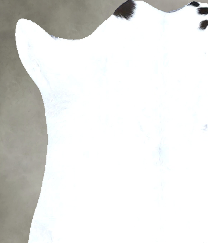 Calfhide Approx 2'x3' #B22181 by Hudson Hides