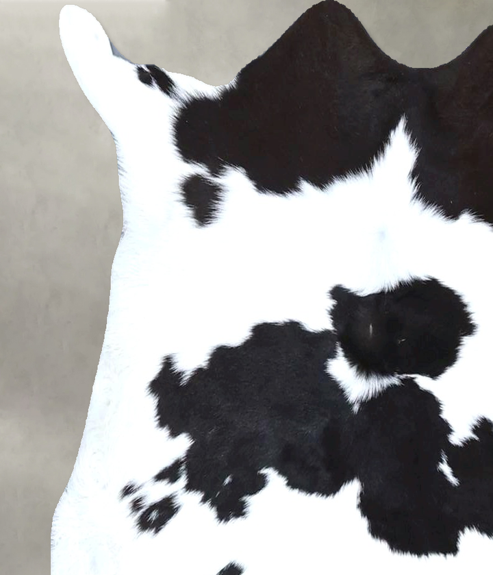 Calfhide Approx 2'x3' #B22184 by Hudson Hides