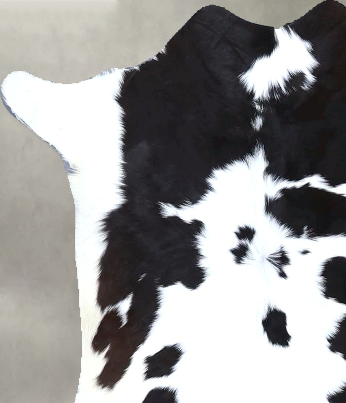 Calfhide Approx 2'x3' #B22189 by Hudson Hides