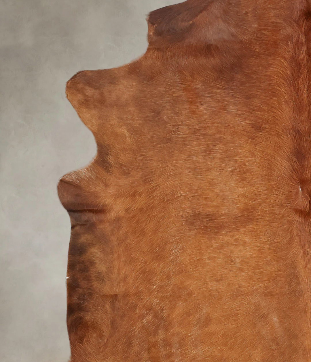 Solid Brown XX-Large Brazilian Cowhide Rug 7'5"H x 6'10"W #B2219 by Hu