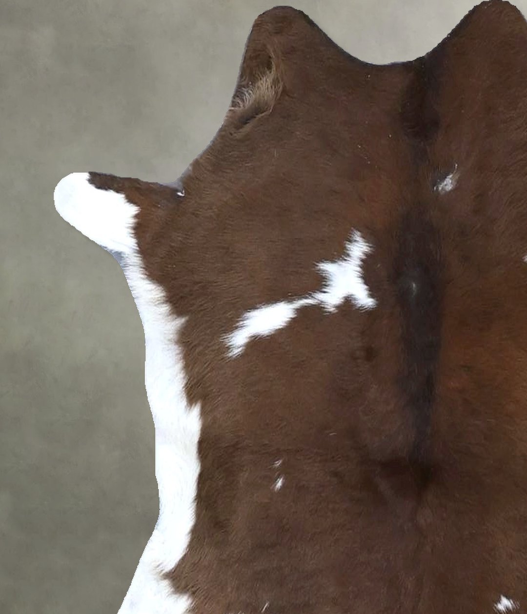 Calfhide Approx 2'x3' #B22192 by Hudson Hides