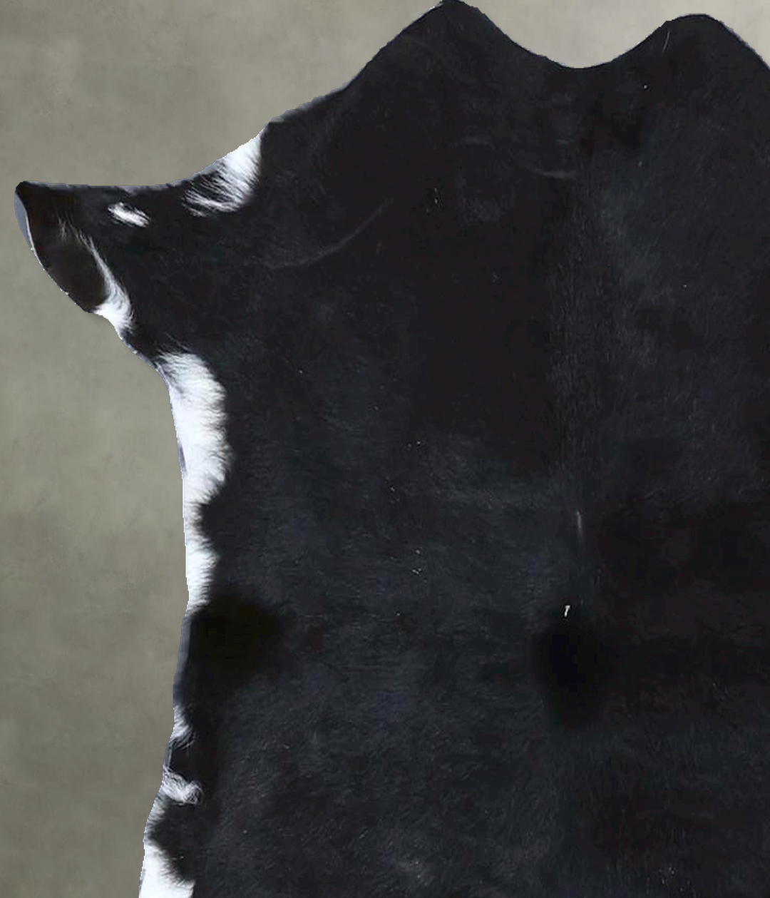 Calfhide Approx 2'x3' #B22196 by Hudson Hides