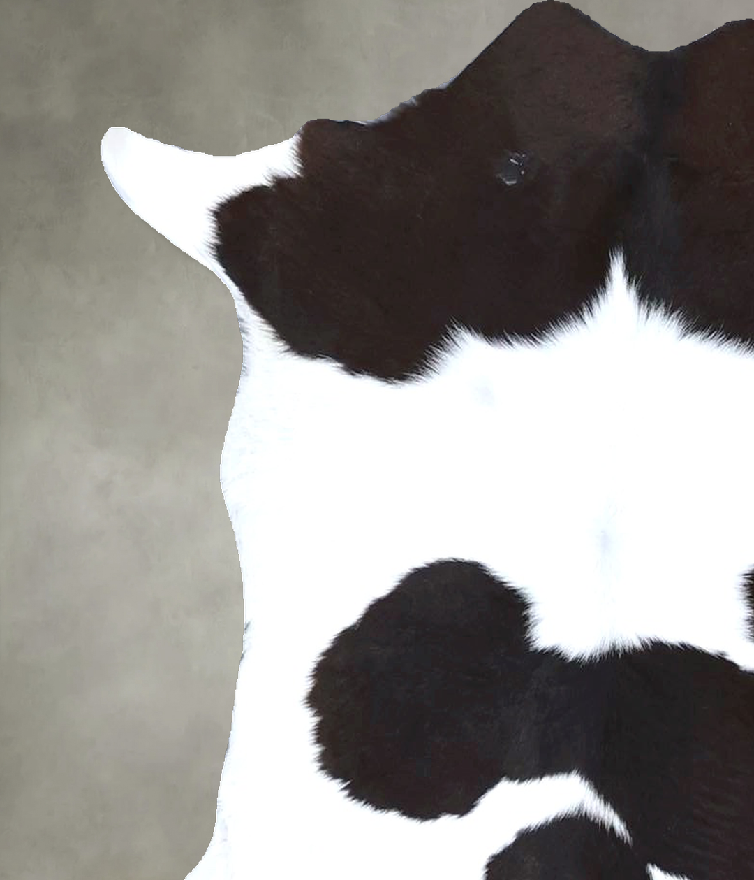 Calfhide Approx 2'x3' #B22201 by Hudson Hides