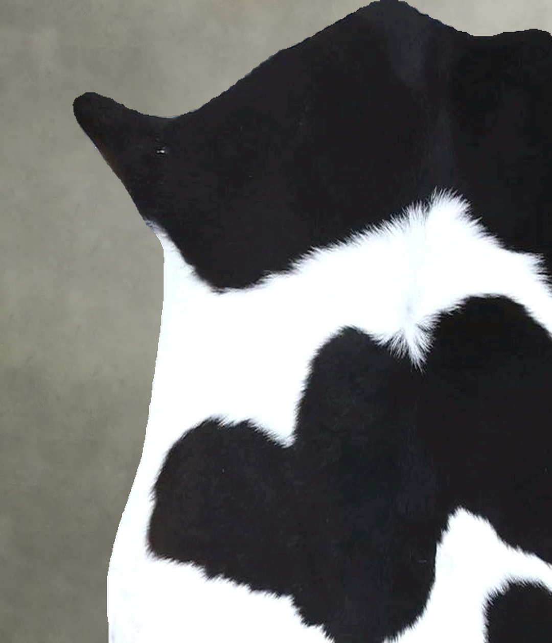 Calfhide Approx 2'x3' #B22202 by Hudson Hides