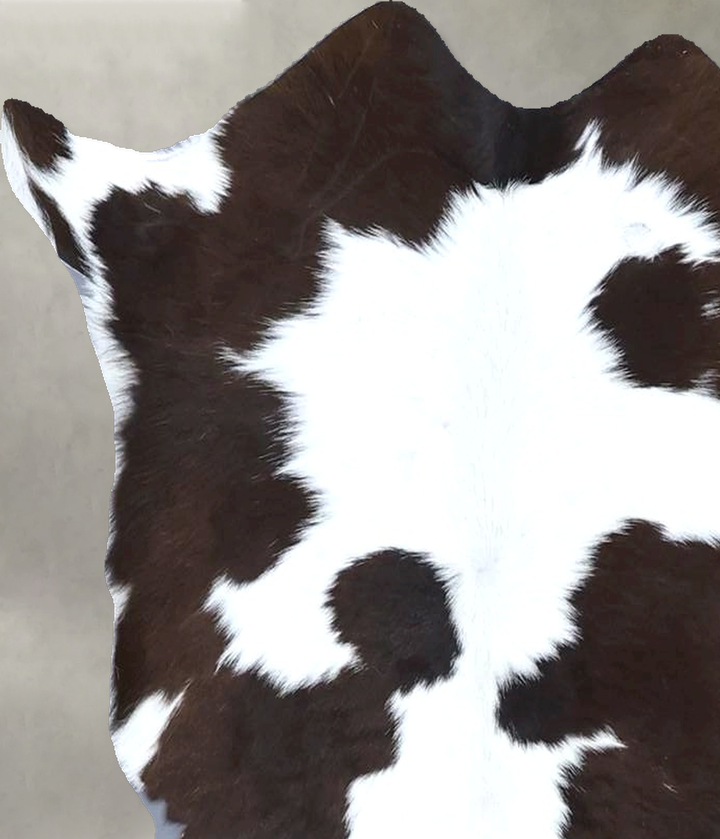 Calfhide Approx 2'x3' #B22203 by Hudson Hides