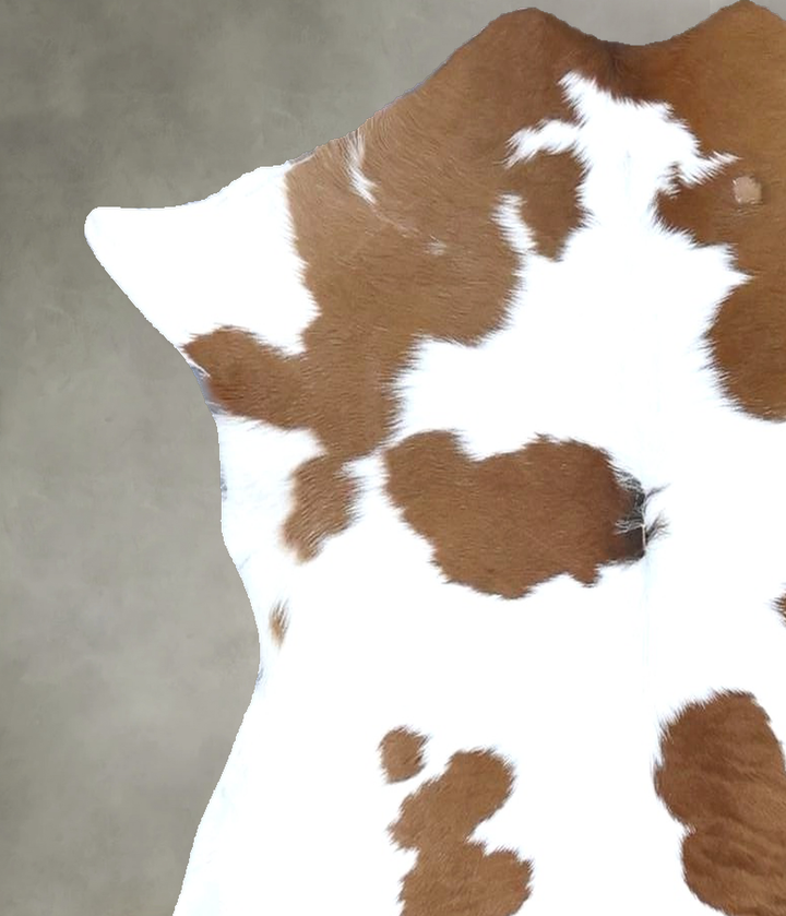 Calfhide Approx 2'x3' #B22204 by Hudson Hides