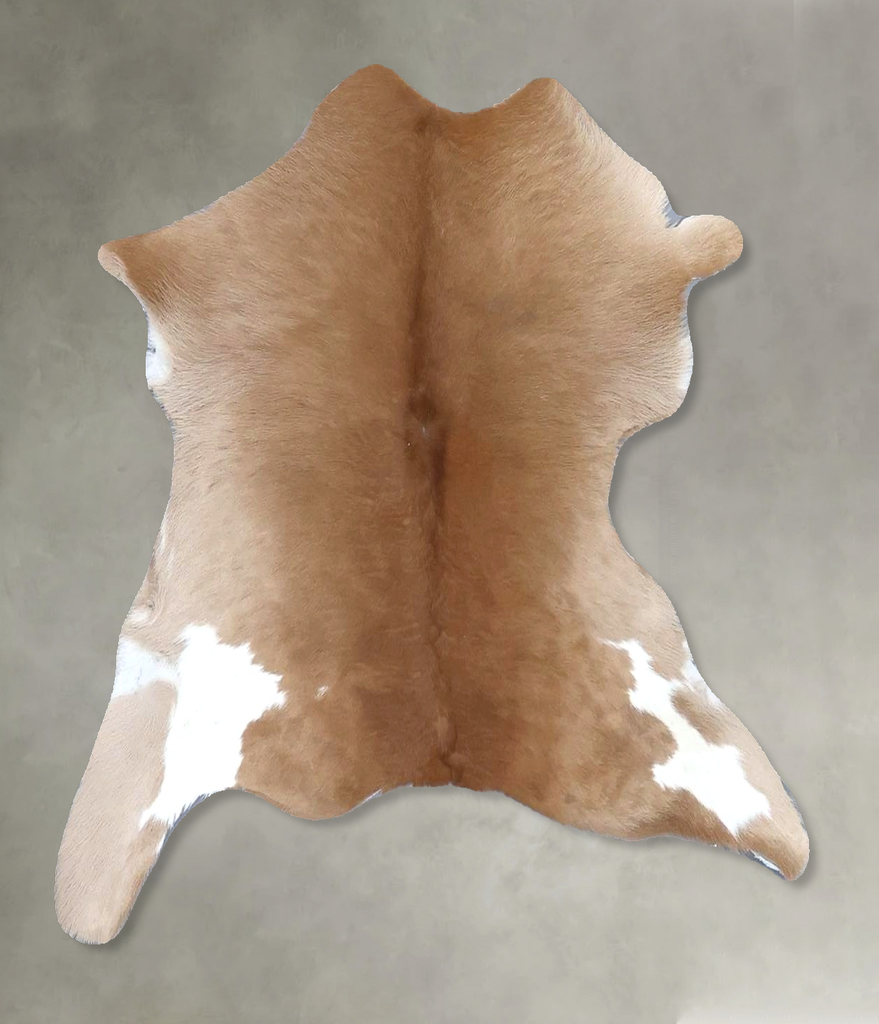 Calfhide Approx 2'x3' #B22206 by Hudson Hides