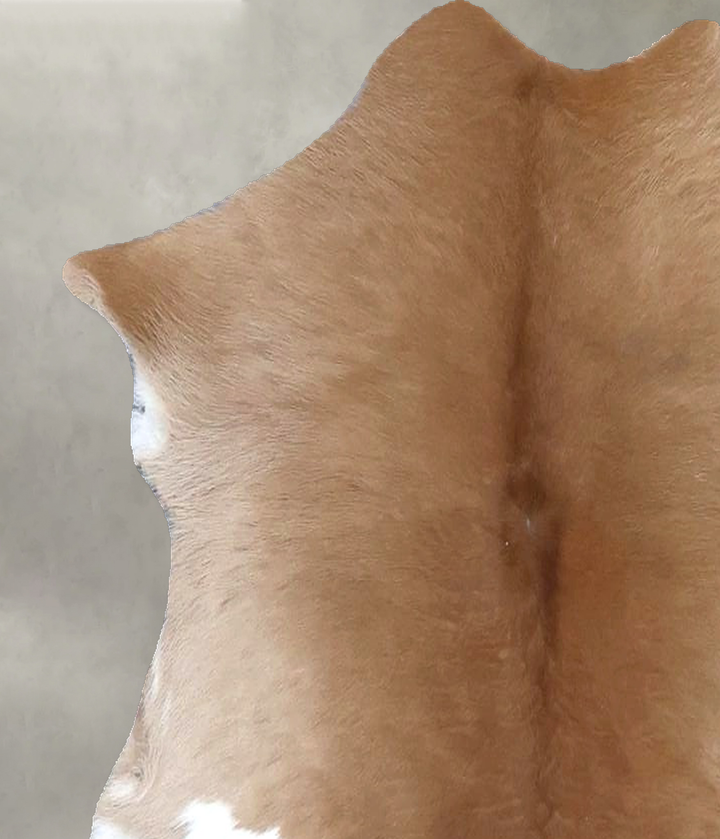 Calfhide Approx 2'x3' #B22206 by Hudson Hides