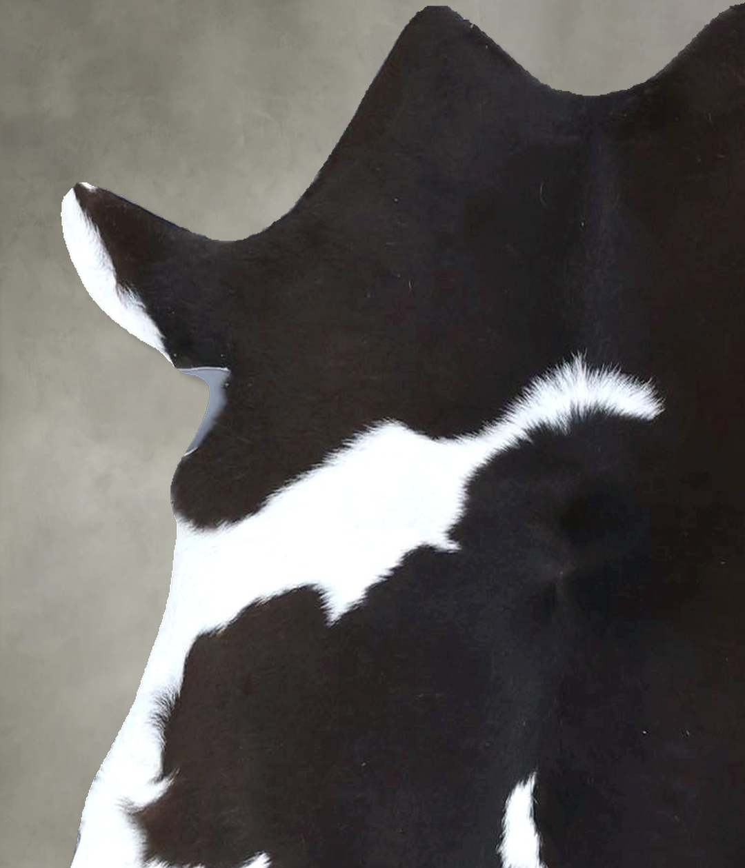 Calfhide Approx 2'x3' #B22207 by Hudson Hides