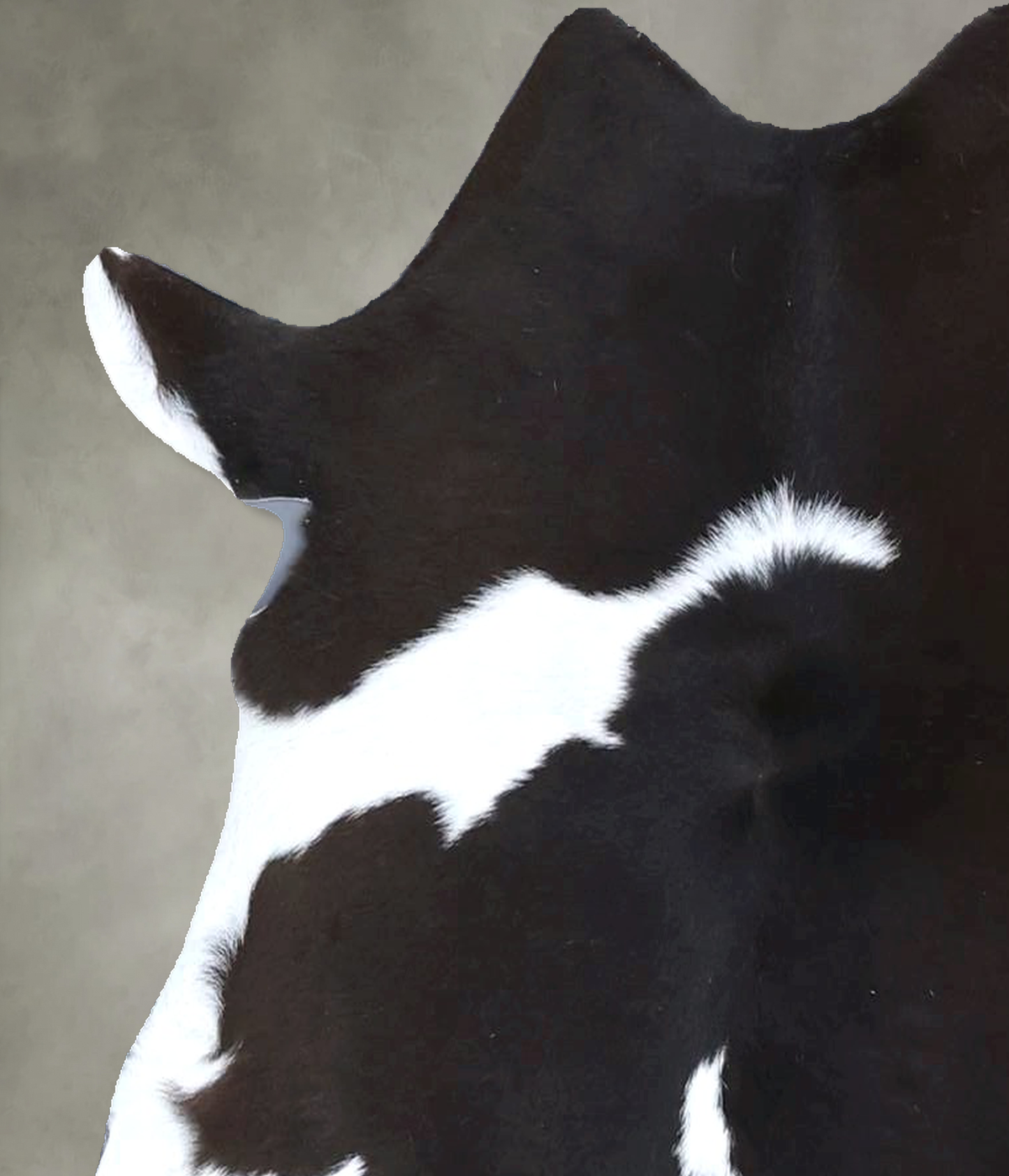 Calfhide Approx 2'x3' #B22207 by Hudson Hides