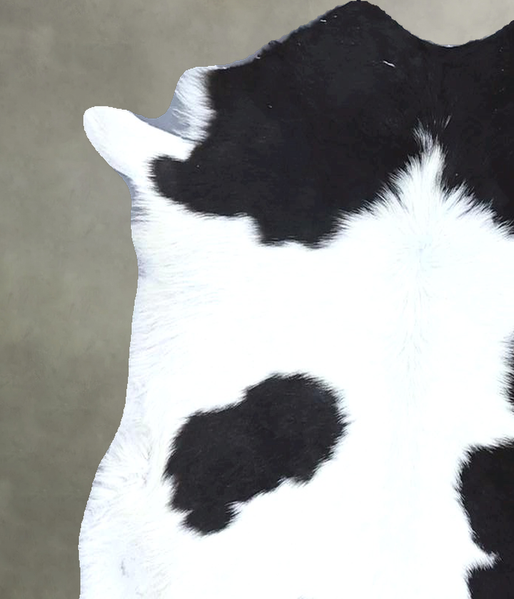 Calfhide Approx 2'x3' #B22209 by Hudson Hides