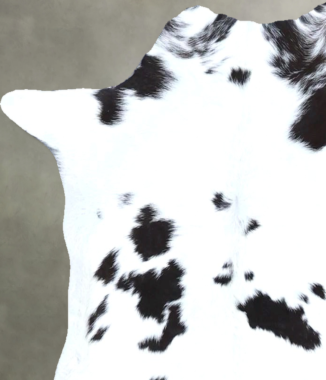 Calfhide Approx 2'x3' #B22215 by Hudson Hides