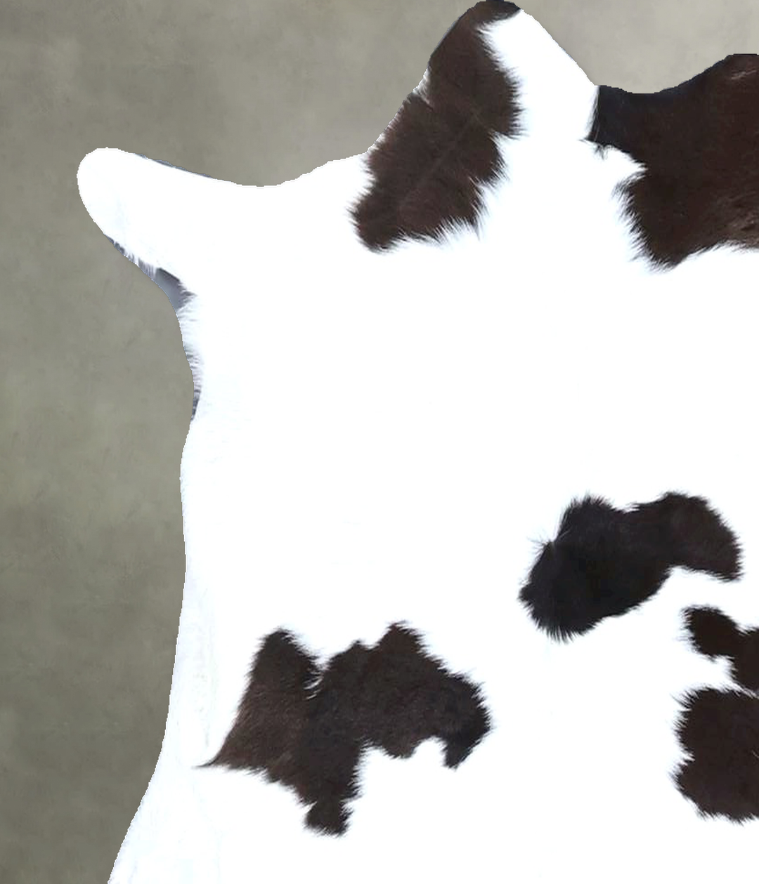 Calfhide Approx 2'x3' #B22216 by Hudson Hides