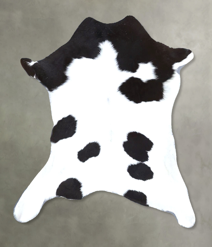 Calfhide Approx 2'x3' #B22217 by Hudson Hides