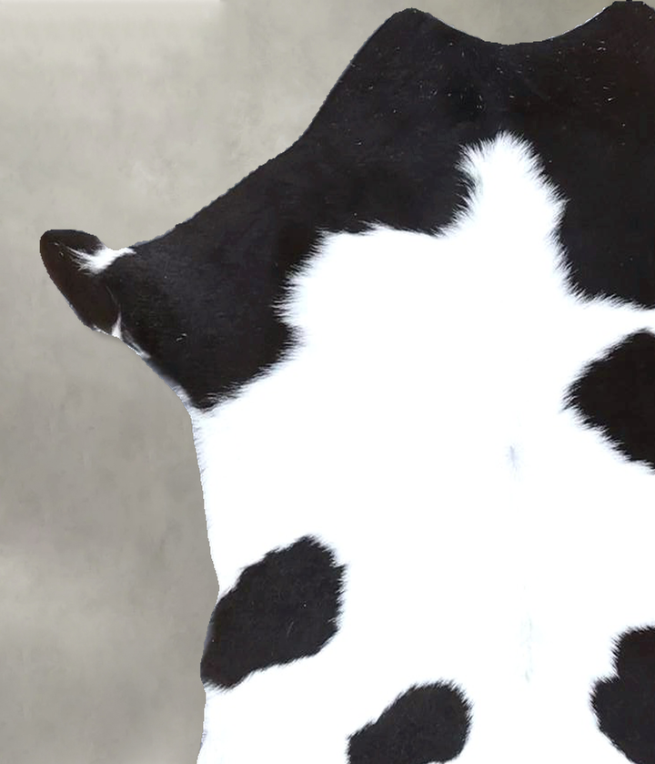 Calfhide Approx 2'x3' #B22217 by Hudson Hides