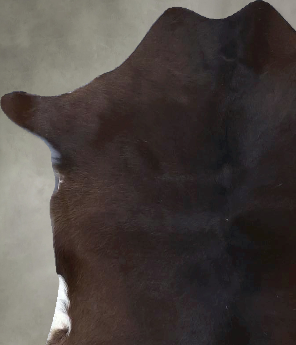 Calfhide Rug #B22218