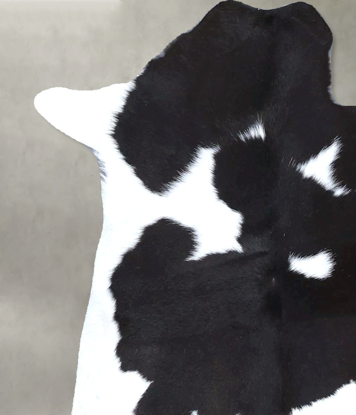 Calfhide Approx 2'x3' #B22221 by Hudson Hides