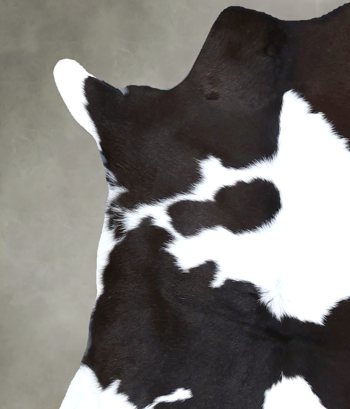 Calfhide Approx 2'x3' #B22223 by Hudson Hides