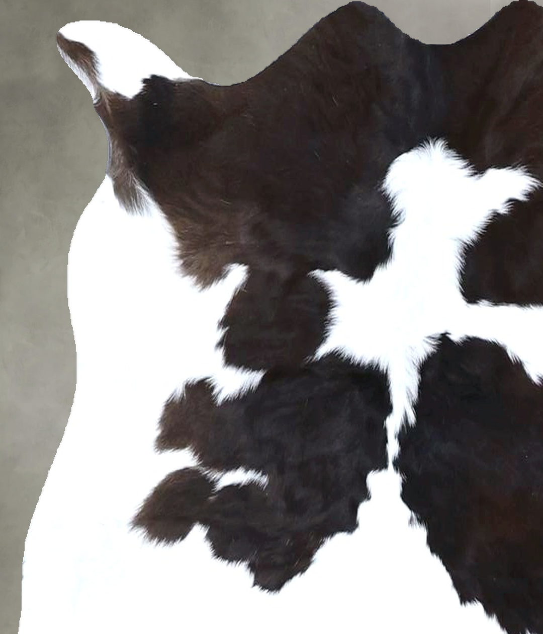 Calfhide Approx 2'x3' #B22224 by Hudson Hides