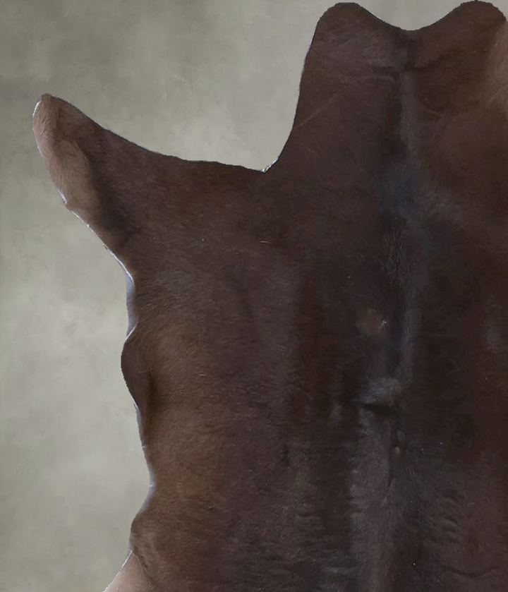 Calfhide Approx 2'x3' #B22225 by Hudson Hides