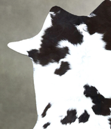 Calfhide Approx 2'x3' #B22226 by Hudson Hides