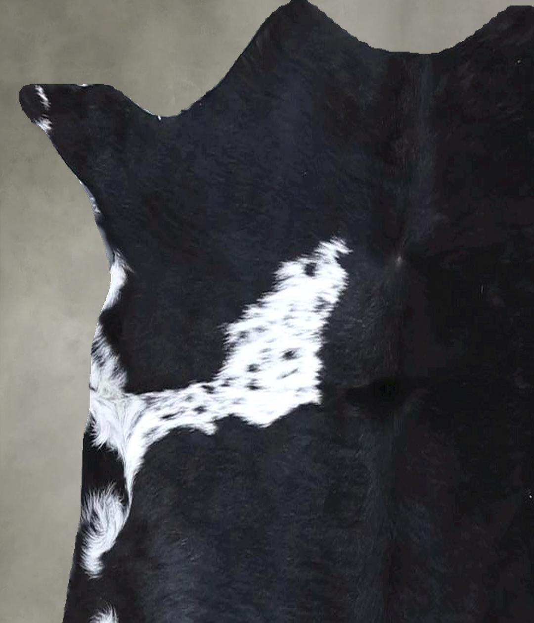 Calfhide Approx 2'x3' #B22230 by Hudson Hides