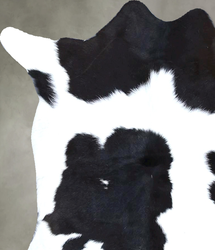 Calfhide Approx 2'x3' #B22231 by Hudson Hides