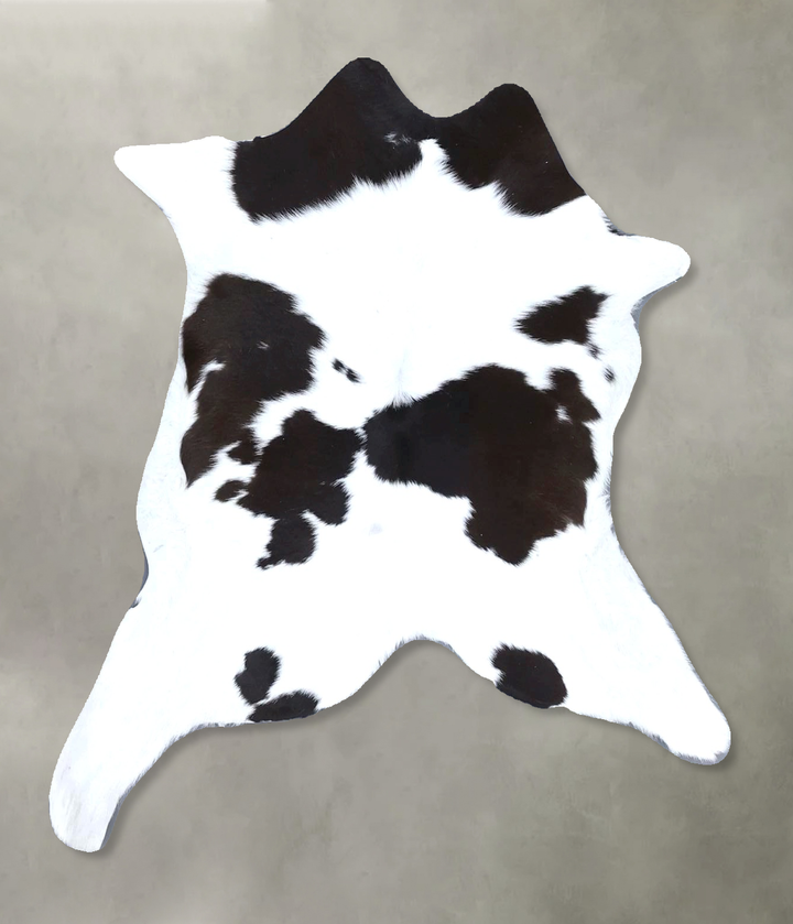 Calfhide Approx 2'x3' #B22234 by Hudson Hides