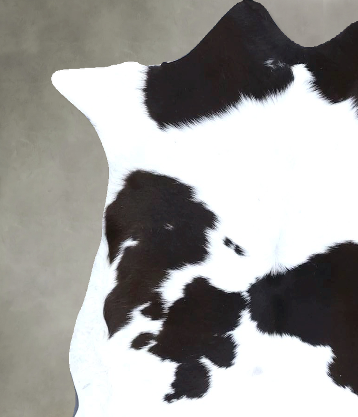 Calfhide Approx 2'x3' #B22234 by Hudson Hides