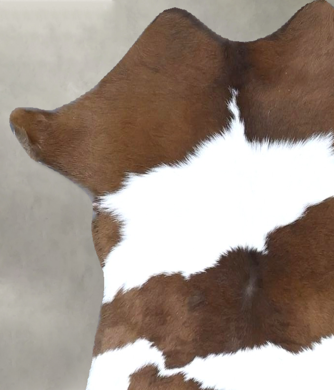 Calfhide Approx 2'x3' #B22235 by Hudson Hides