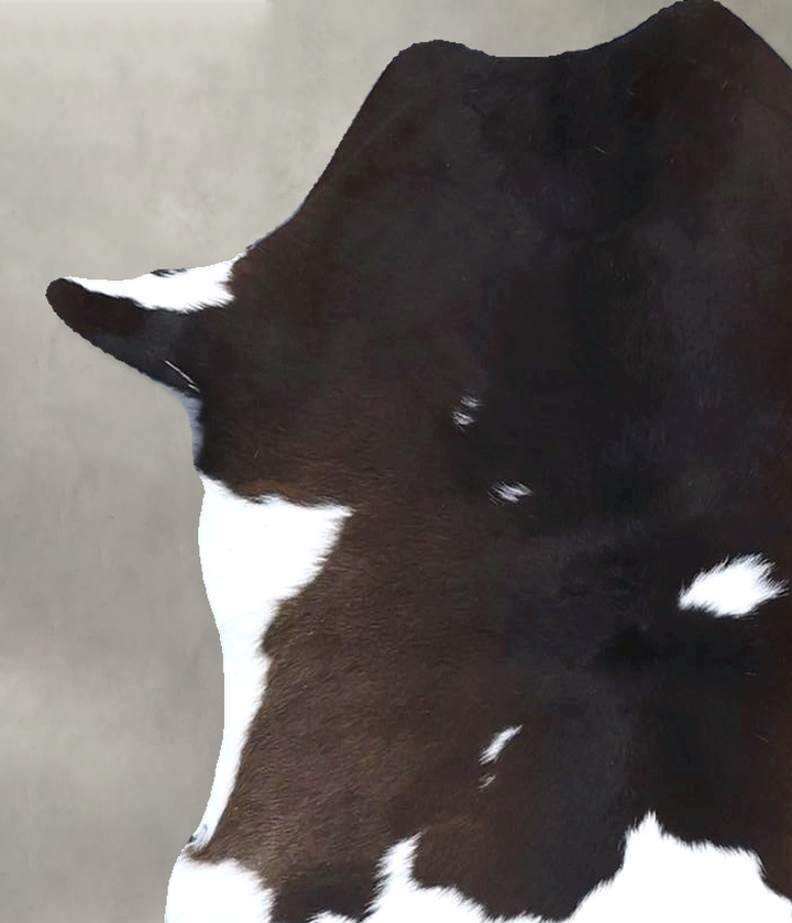 Calfhide Approx 2'x3' #B22237 by Hudson Hides