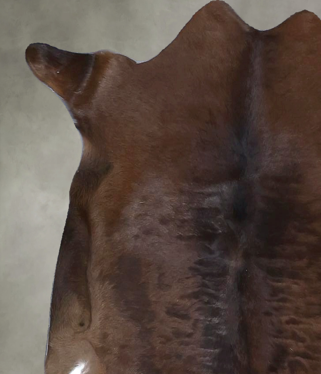 Calfhide Approx 2'x3' #B22238 by Hudson Hides
