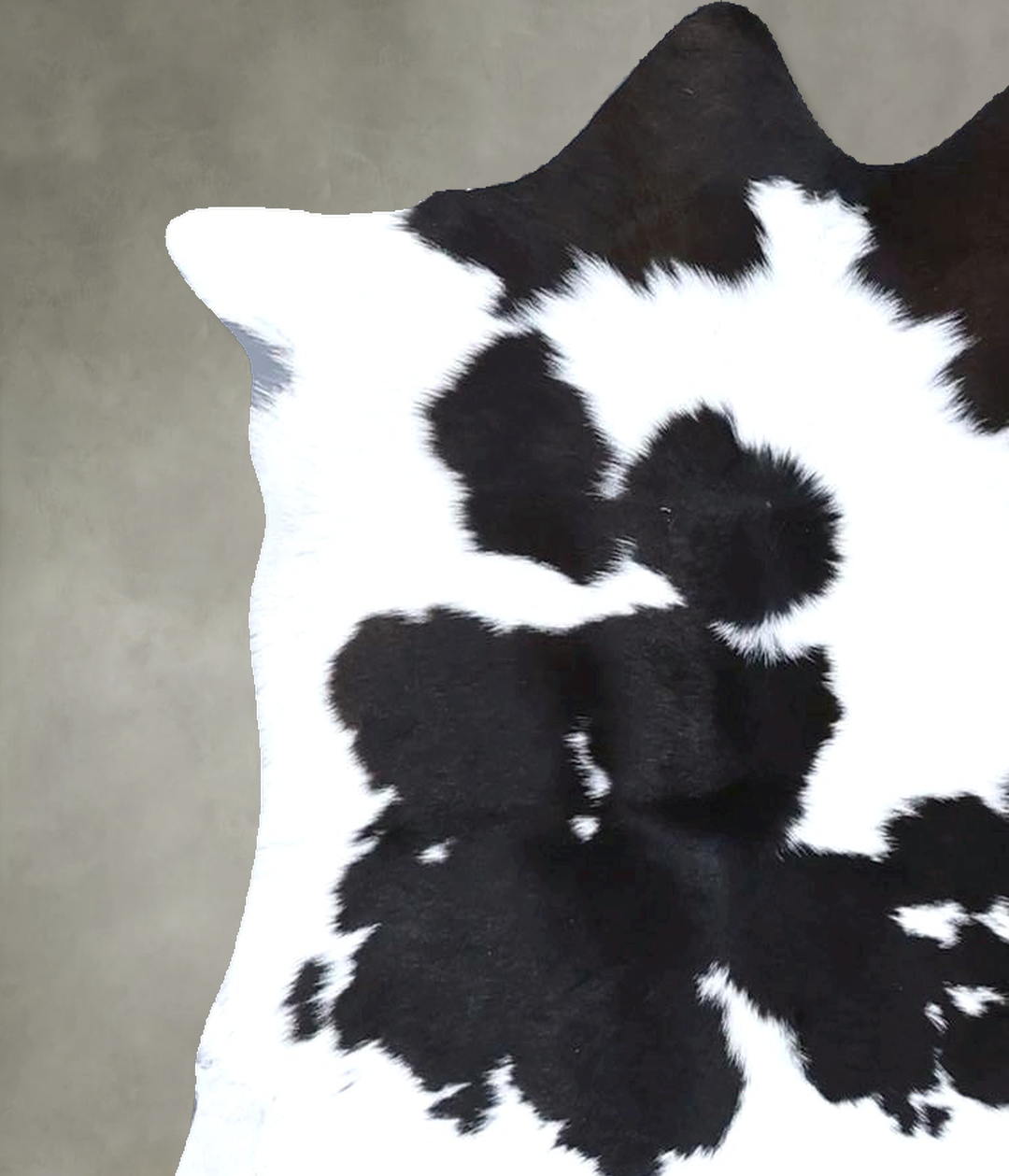 Calfhide Approx 2'x3' #B22240 by Hudson Hides