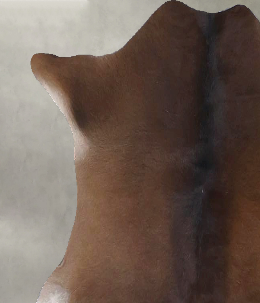 Calfhide Approx 2'x3' #B22241 by Hudson Hides