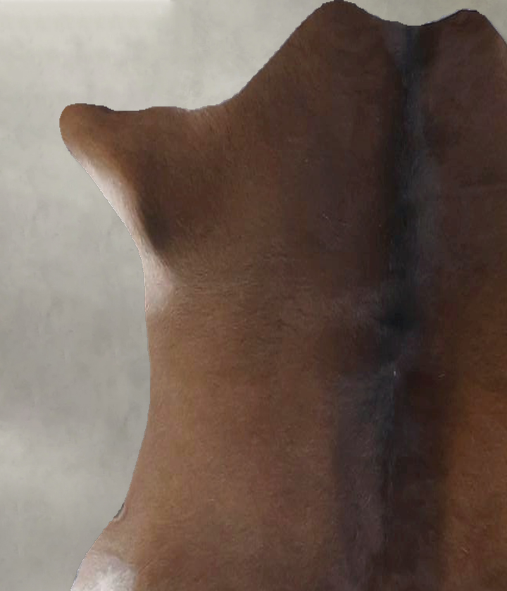 Calfhide Approx 2'x3' #B22241 by Hudson Hides