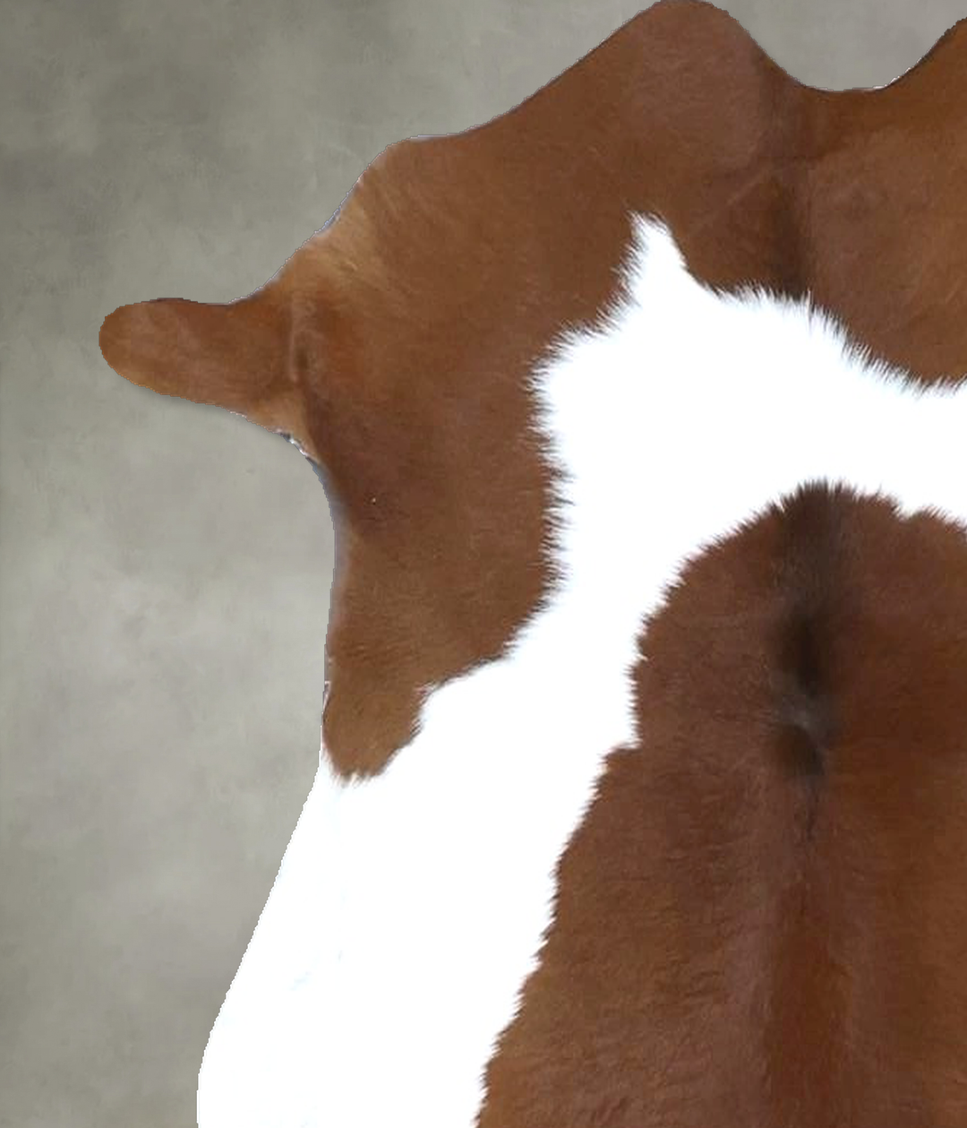 Calfhide Approx 2'x3' #B22242 by Hudson Hides