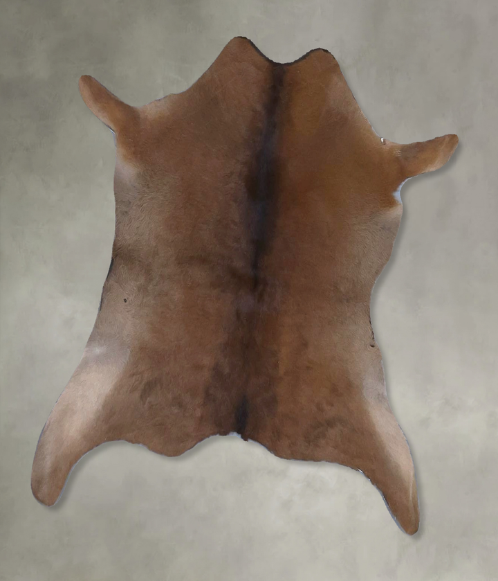 Calfhide Approx 2'x3' #B22243 by Hudson Hides
