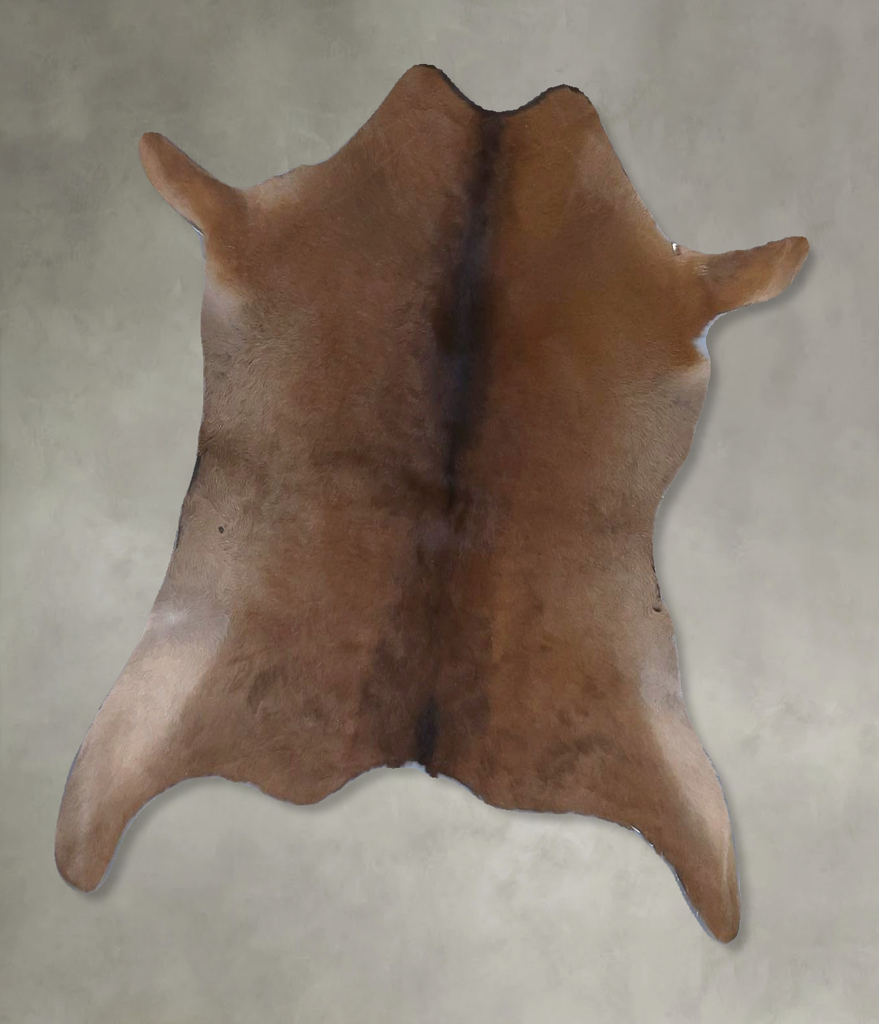 Calfhide Approx 2'x3' #B22243 by Hudson Hides