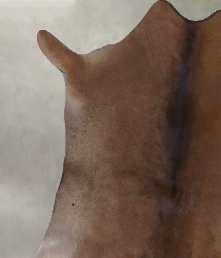 Calfhide Approx 2'x3' #B22243 by Hudson Hides